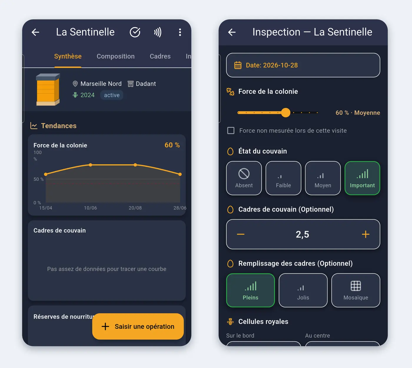 L'application HexaBees au rucher : la fiche d'une ruche et la saisie d'une visite